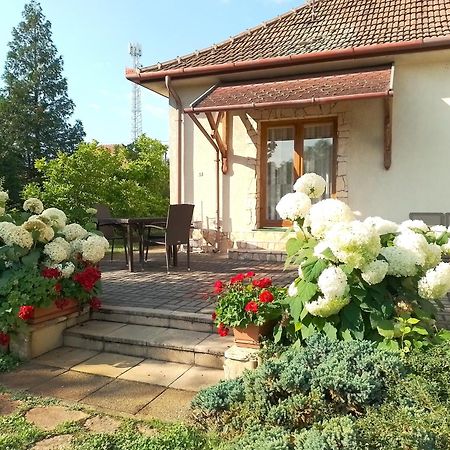 Appartamento Platán Vendégház Csemo Esterno foto