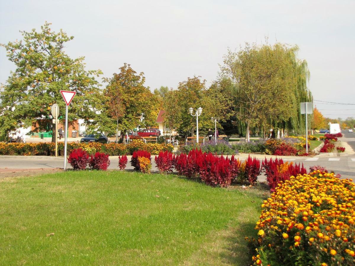 Appartamento Platán Vendégház Csemo Esterno foto